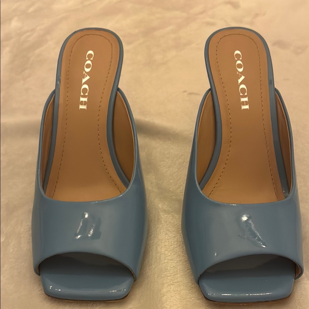 Leather Coach Mules Light Blue